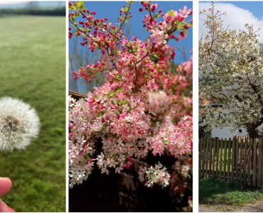 Celebrating Nature for Mental Health Awareness Week